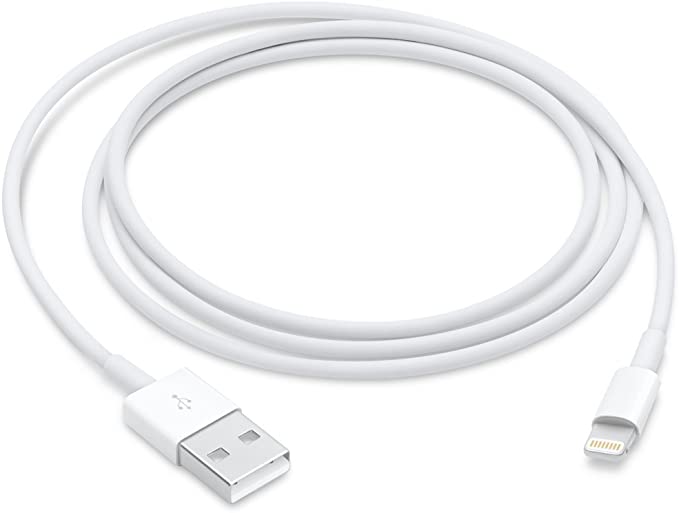 Apple CABLE DE CHARGE IPHONE X 5W PRISE LIGHTNING À USB